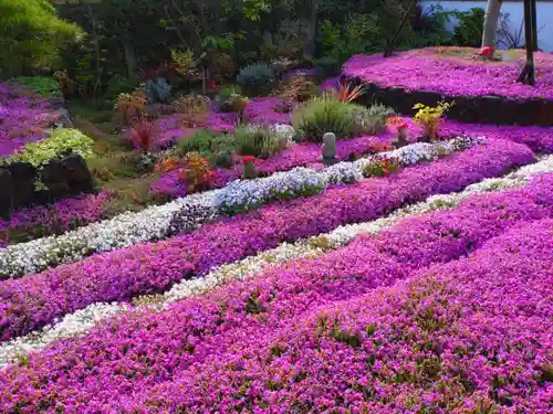 寿量山　速成寺(奈良県)