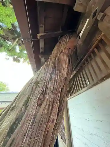 春日大社の自然