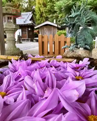 立志神社(滋賀県)