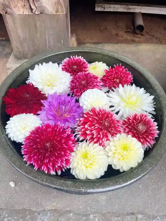 山﨑八幡宮の手水舎