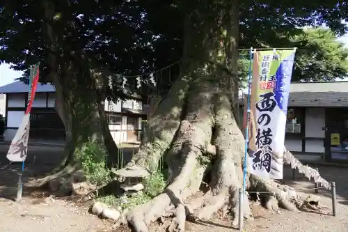 八枝神社(埼玉県)