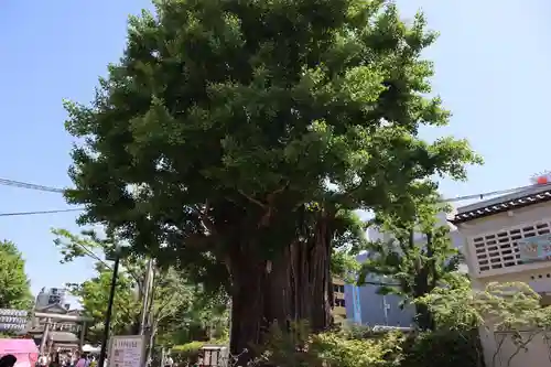 浅草寺(東京都)