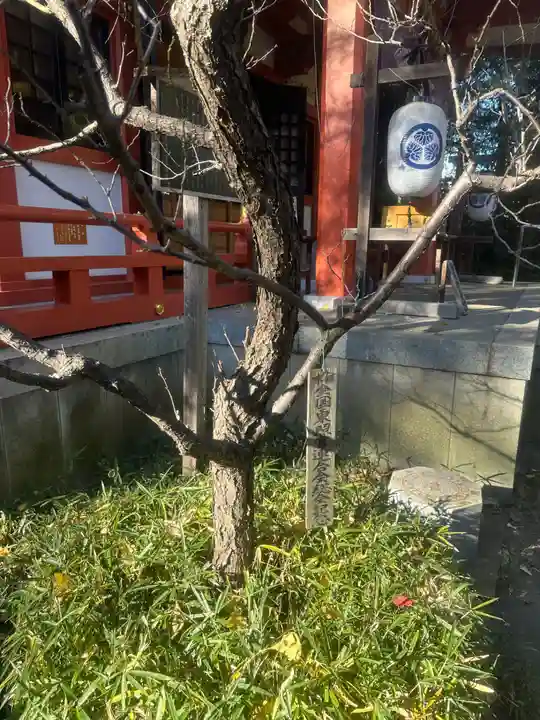 芝東照宮の自然