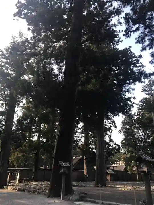 伊勢神宮外宮(豊受大神宮)の自然