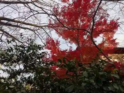 愛宕神社(福島県)