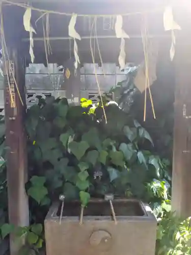 四谷於岩稲荷田宮神社(東京都)