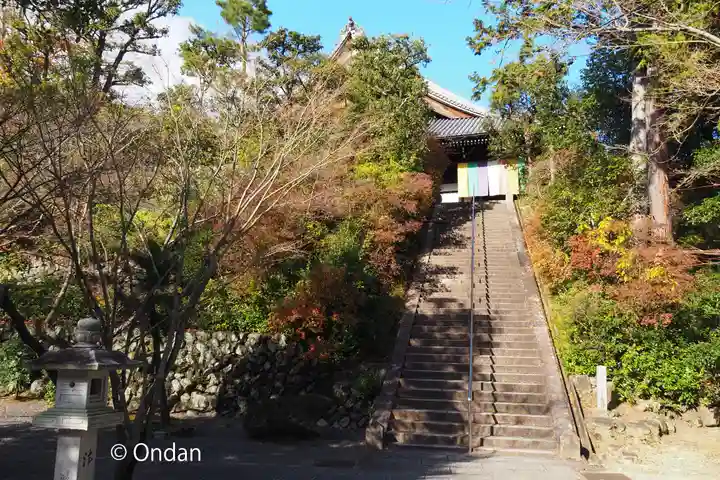 光明寺(粟生光明寺)(京都府)