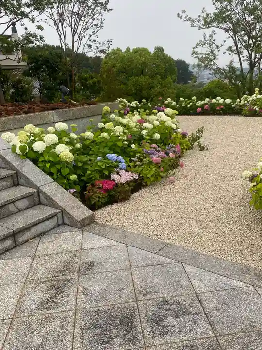 太光寺 (広島県)