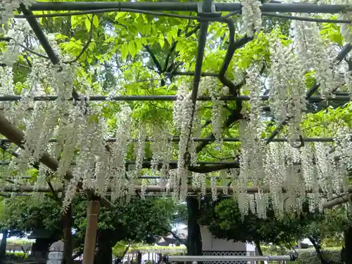 曼陀羅寺(愛知県)