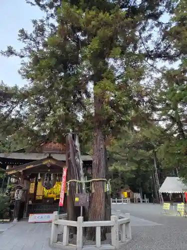 建部大社(滋賀県)