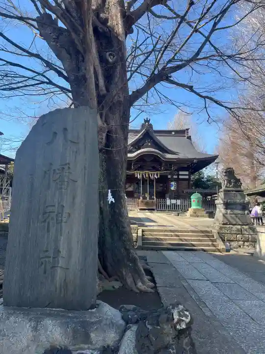 滝野川八幡神社の{uncategorized: "未分類", other: "その他", undefined: "問題あり", building: "その他建物", grave: "お墓", sacred_gate: "鳥居", guardian: "狛犬", statue: "像", buddha: "仏像", history: "歴史", nature: "自然", garden: "庭園", animal: "動物", pagoda: "塔", temizu: "手水舎", mountain_gate: "山門・神門", sanctuary: "本殿・本堂", subordinate: "末社・摂社", art: "芸術", scenery: "景色", jizo: "地蔵", ema: "絵馬", goshuin: "御朱印", omikuji: "おみくじ", items: "授与品その他", amulet: "お守り", goshuincho: "御朱印帳", eats: "食事", festival: "お祭り", votive_dance: "神楽", shichigosan: "七五三参", wedding: "結婚式", experience: "体験その他", initially: "初詣", around: "周辺", anti_infection: "感染症対策"}