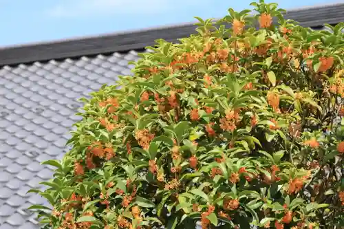 豊景神社の庭園