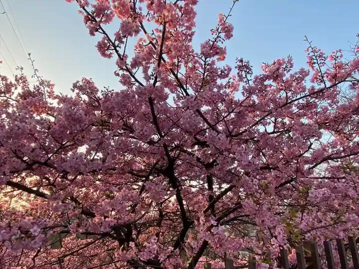 長円寺(京都府)
