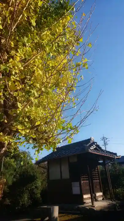 菩提寺の本殿・本堂