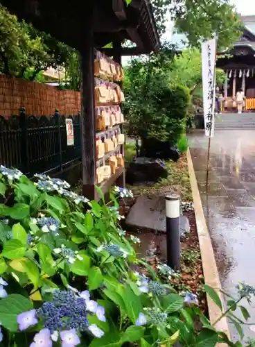 桜神宮(東京都)