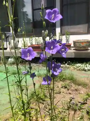 宝壽山 吉祥院(北海道)