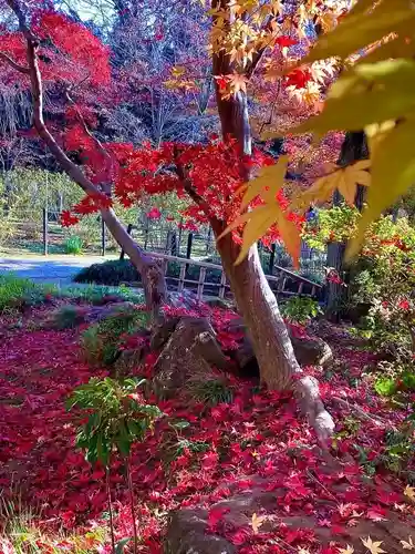 本土寺(千葉県)