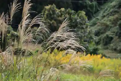 大六天麻王神社の自然