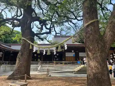明治神宮(東京都)