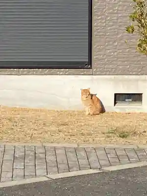 長円寺(京都府)