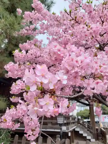 新宿下落合氷川神社(東京都)