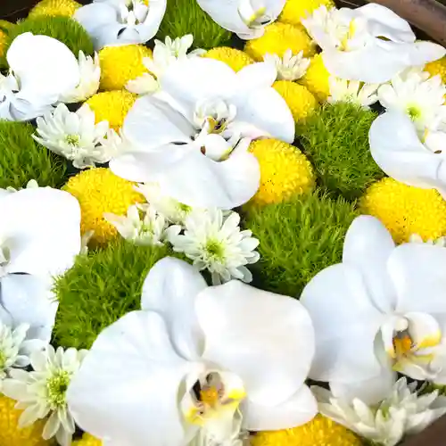 上尾御嶽神社の手水舎
