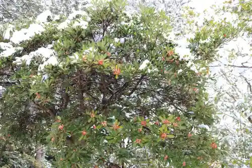 開成山大神宮の庭園