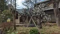 実相寺(東京都)