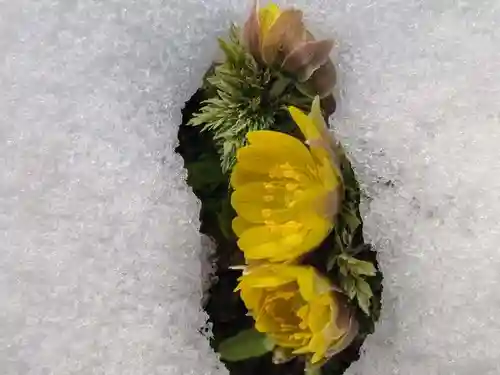 関場神社(福島県)