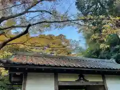 明月院の建物その他