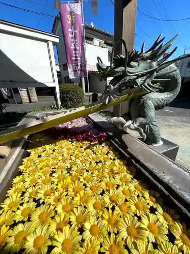 武蔵第六天神社の手水