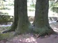 神内神社の自然