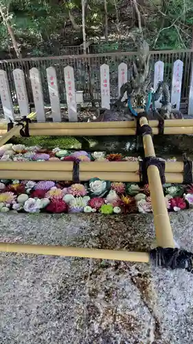 近江神宮(滋賀県)