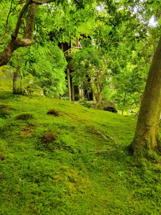 光明寺瑠璃光院(京都府)