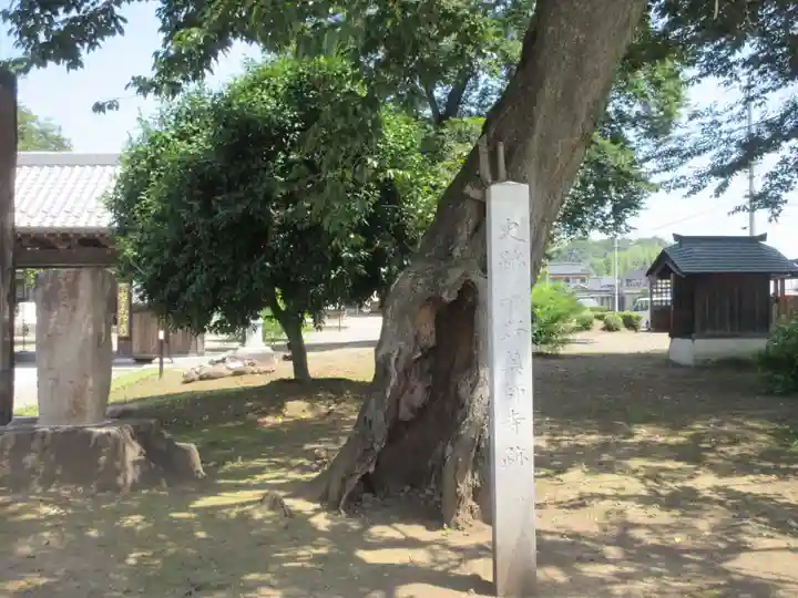 下野薬師寺 (旧 安國寺)(栃木県)