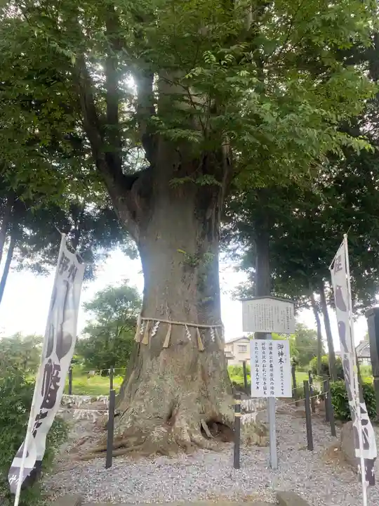 薬師寺八幡宮(栃木県)
