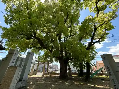 八幡神社(兵庫県)
