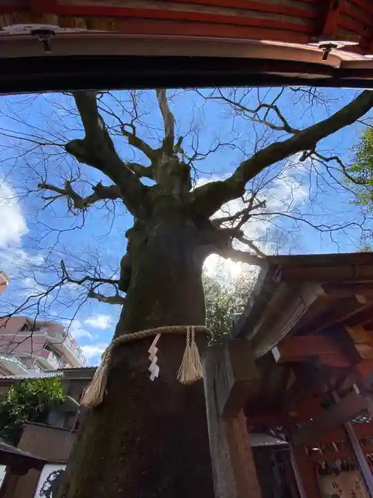 武信稲荷神社の自然