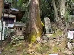 伊吹の瀧不動明王(岐阜県)