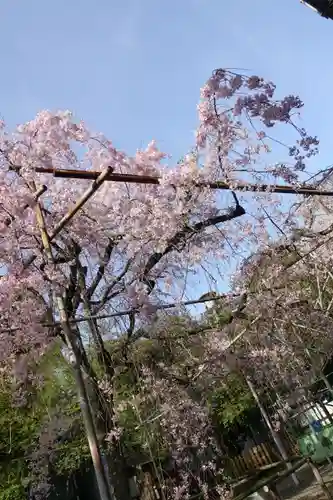 平野神社の庭園