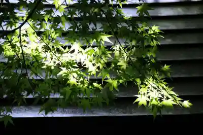 両足寺(山口県)