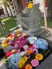 新川皇大神社の手水