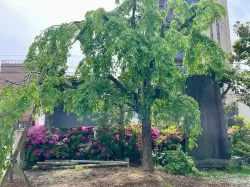 尾久八幡神社(東京都)