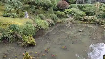 乘臺寺の庭園