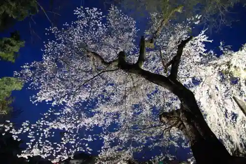 田村神社の自然