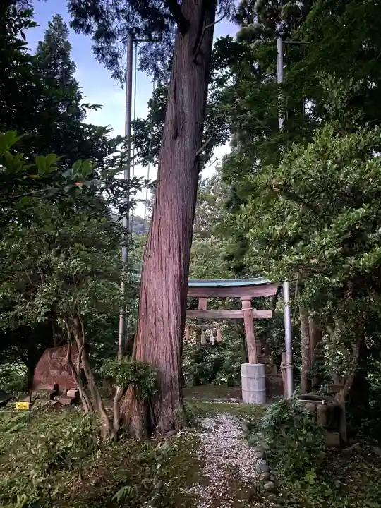 岩上神社の{uncategorized: "未分類", other: "その他", undefined: "問題あり", building: "その他建物", grave: "お墓", sacred_gate: "鳥居", guardian: "狛犬", statue: "像", buddha: "仏像", history: "歴史", nature: "自然", garden: "庭園", animal: "動物", pagoda: "塔", temizu: "手水舎", mountain_gate: "山門・神門", sanctuary: "本殿・本堂", subordinate: "末社・摂社", art: "芸術", scenery: "景色", jizo: "地蔵", ema: "絵馬", goshuin: "御朱印", omikuji: "おみくじ", items: "授与品その他", amulet: "お守り", goshuincho: "御朱印帳", eats: "食事", festival: "お祭り", votive_dance: "神楽", shichigosan: "七五三参", wedding: "結婚式", experience: "体験その他", initially: "初詣", around: "周辺", anti_infection: "感染症対策"}