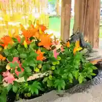 彌彦神社 (伊夜日子神社)の手水舎