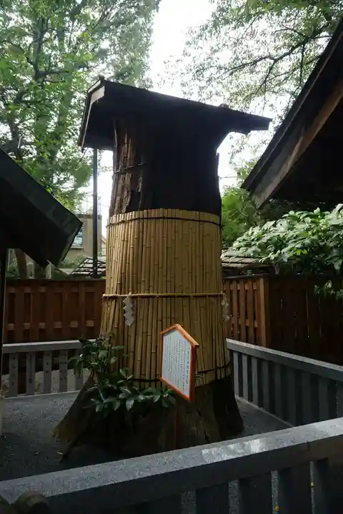 七社神社の自然