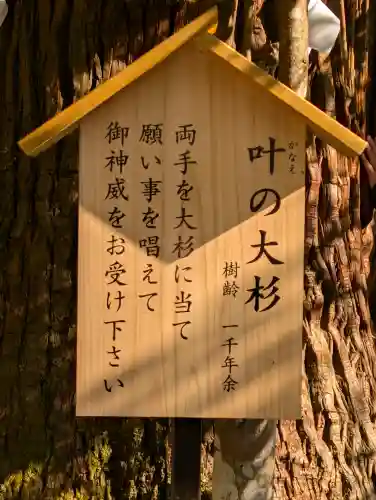 丹生川上神社（中社）の{uncategorized: "未分類", other: "その他", undefined: "問題あり", building: "その他建物", grave: "お墓", sacred_gate: "鳥居", guardian: "狛犬", statue: "像", buddha: "仏像", history: "歴史", nature: "自然", garden: "庭園", animal: "動物", pagoda: "塔", temizu: "手水舎", mountain_gate: "山門・神門", sanctuary: "本殿・本堂", subordinate: "末社・摂社", art: "芸術", scenery: "景色", jizo: "地蔵", ema: "絵馬", goshuin: "御朱印", omikuji: "おみくじ", items: "授与品その他", amulet: "お守り", goshuincho: "御朱印帳", eats: "食事", festival: "お祭り", votive_dance: "神楽", shichigosan: "七五三参", wedding: "結婚式", experience: "体験その他", initially: "初詣", around: "周辺", anti_infection: "感染症対策"}