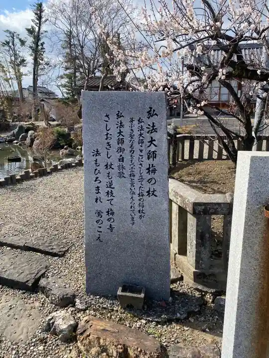 乙津寺 (鏡島弘法)の自然